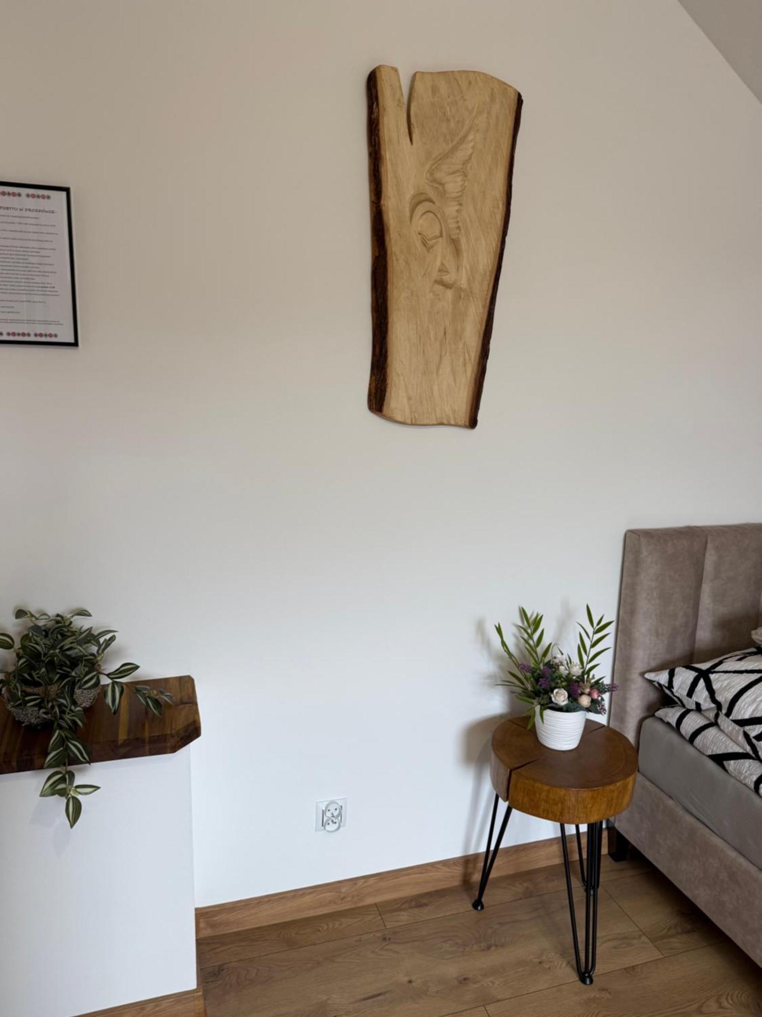 Apartament Z Tarasem I Pokoje Klimatyzowane -Drozdowka Solina Solina  Ngoại thất bức ảnh